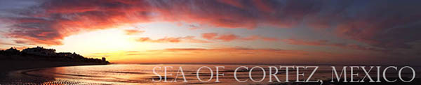 sea of cortez